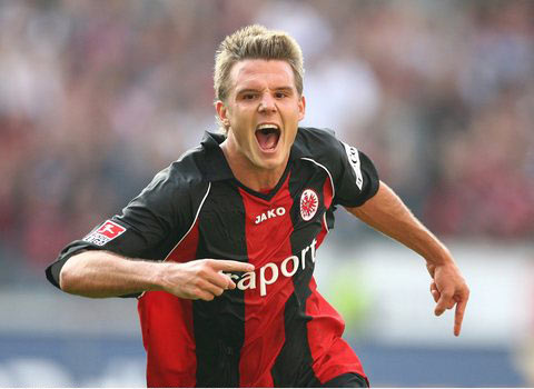 他们的组织 他们的组织